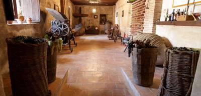 Visita a Bodega, Museo del Vino y Cata en Bodegas Pablo Morate