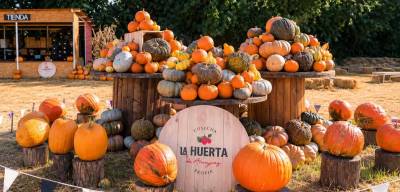 Pumpkin Patch en La Huerta de Aranjuez